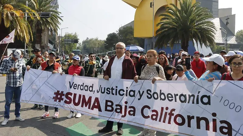 Shienbaum informe 